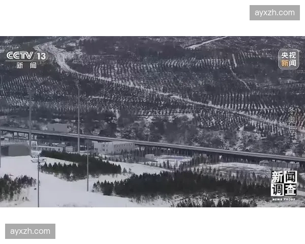 深度报道：北京冬奥会遗产——中国冰球运动基础设施的现状调研